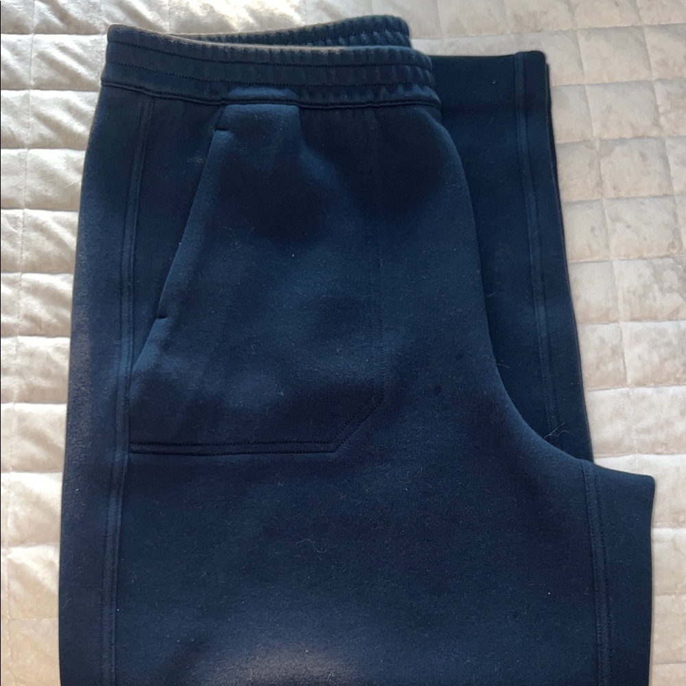 Banana Republic Navy Jogger Pants